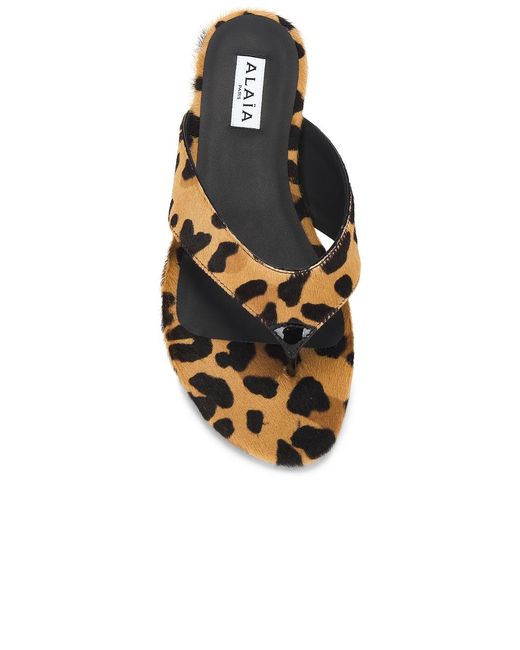 Alaïa Metallic Flat Sandal