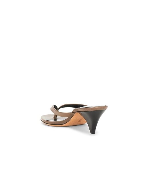 Jude Multicolor Rooty Sandal