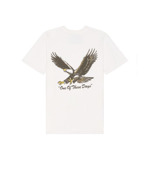One Of These Days Multicolor Screaming Eagle Tee for men