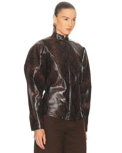 Stella McCartney Black Alter Snake Jacket