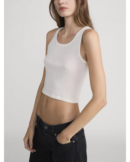 FRAME White The Ghost Tank