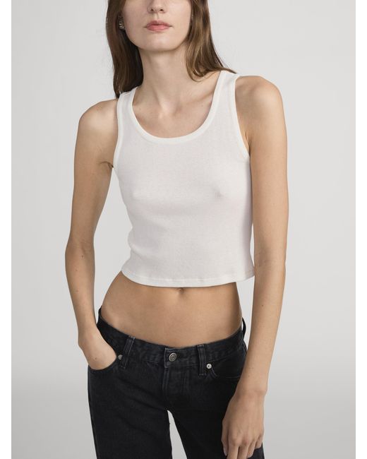 FRAME White The Ghost Tank