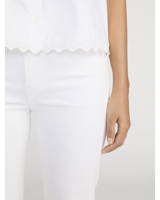 FRAME White The Pixie Icon