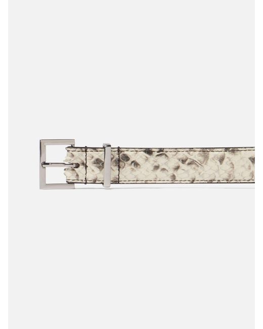 FRAME White The Snake Square Buckle Belt