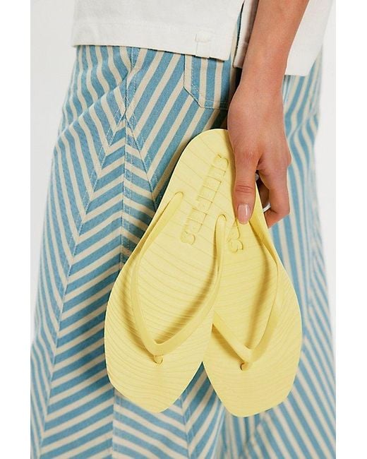 Sleeper Multicolor Tapered Flip Flops