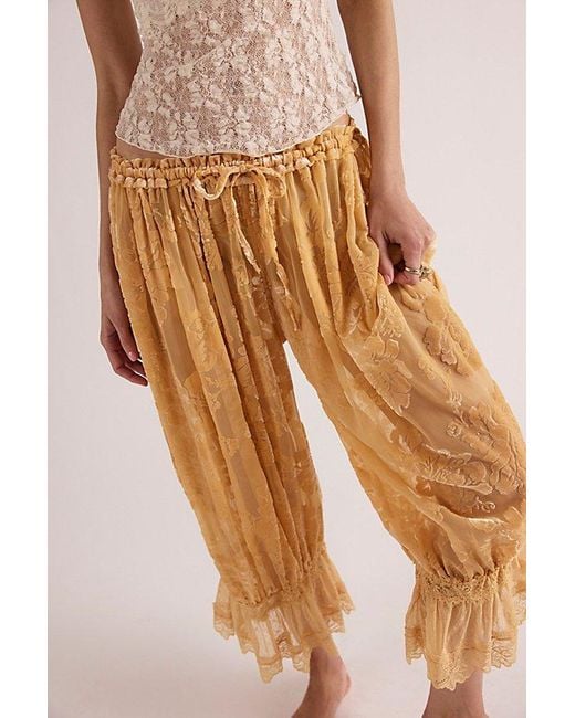 Free People Brown Forever Young Burnout Pants