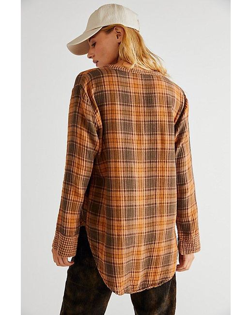 CP Shades Brown Tree House Plaid Pullover