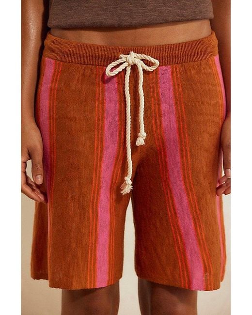 free-est Multicolor Surfs Up Sweater Shorts By