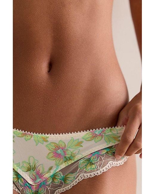 Intimately By Free People Green Printed Lace Undies By