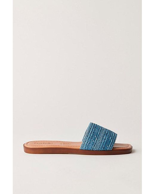 Seychelles Blue Under The Palms Slide Sandals By