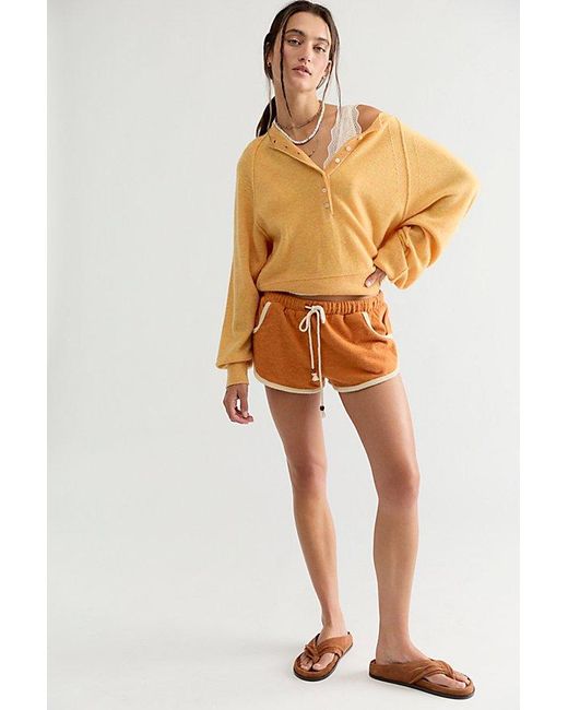Free People Brown Porta Cashmere Henley Sweater