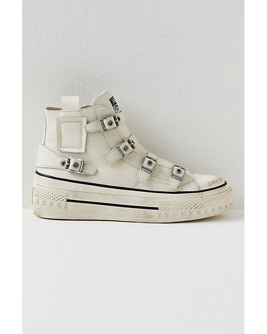 Ash buckle sneakers best sale