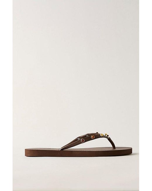 Brizza Arezzo Brown Englewood Embellished Flip Flops By