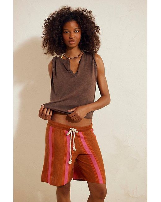 free-est Multicolor Surfs Up Sweater Shorts By