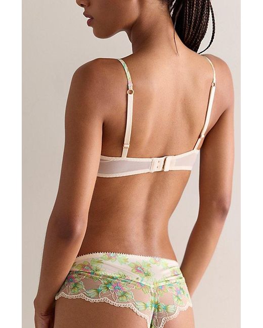 Intimately By Free People Green Printed Lace Undies By