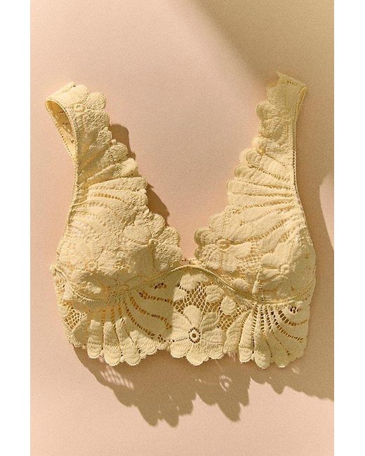 Intimately By Free People Brown Petal Party Lace Plunge Bralette By