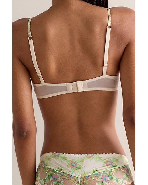 Intimately By Free People Brown Printed Lace Underwire Bra By