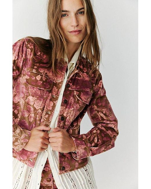 Free People Brown Jocelyn Velvet Printed Jacket