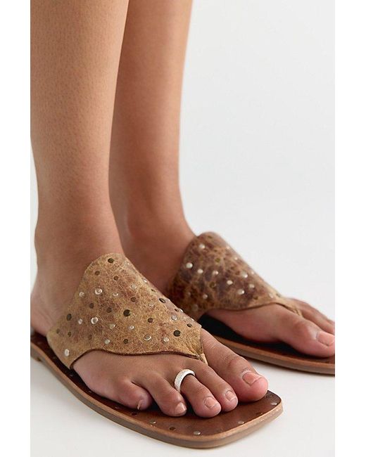 Free People Brown Amanda Toe Ring
