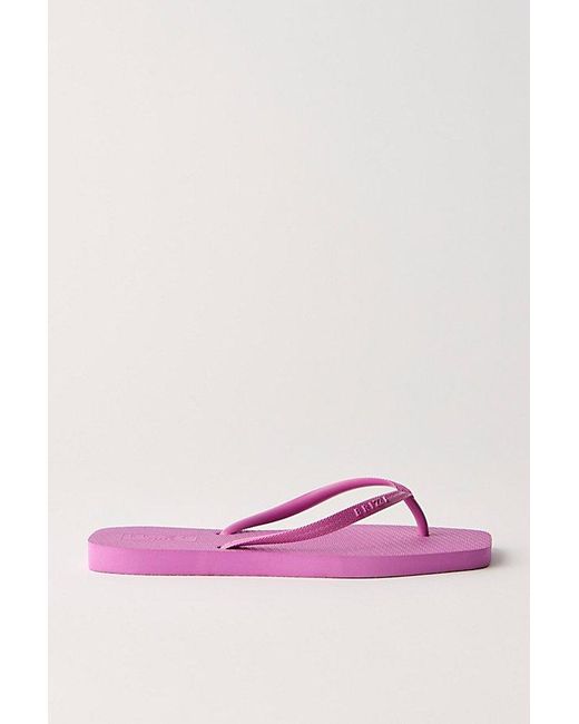 Brizza Arezzo Pink Going Coastal Flip Flops By