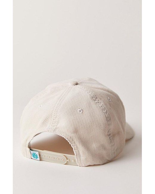 Free People Natural Spirit Of The West Baseball Hat