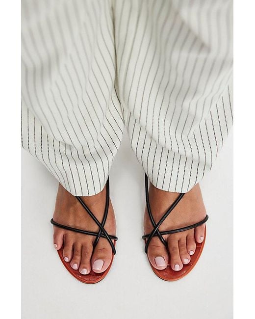 SCHUTZ SHOES Brown Malta Flat Sandals