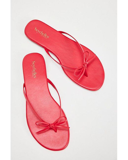 Seychelles Brown Miley Bow Sandals
