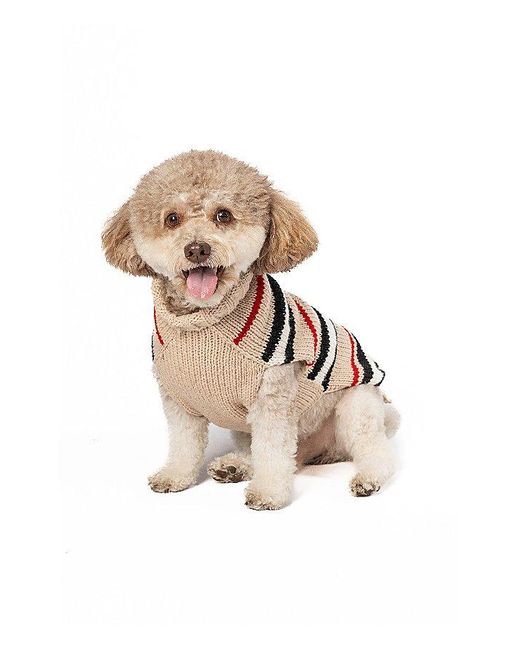Free People White Chilly Dog Bentley Stripe Dog Sweater