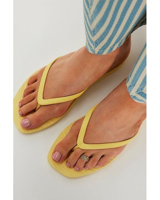 Sleeper Multicolor Tapered Flip Flops
