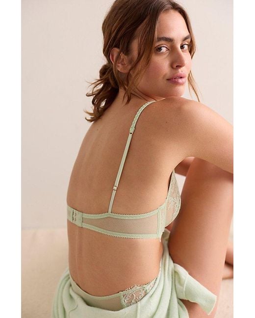 Intimately By Free People Brown Lacebound Demi Underwire Bra By