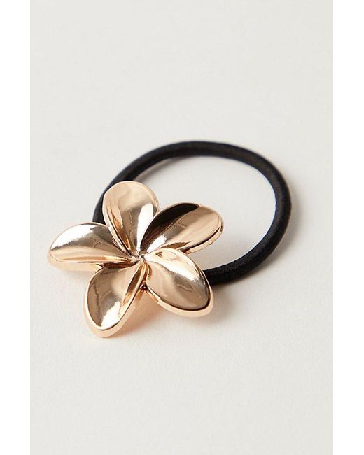 Free People Black Flora Pony