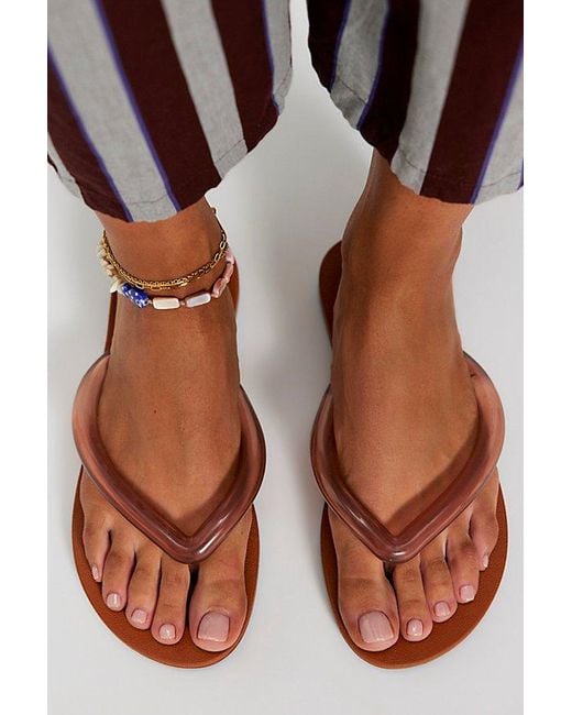 Melissa Multicolor Airflow Flip Flops