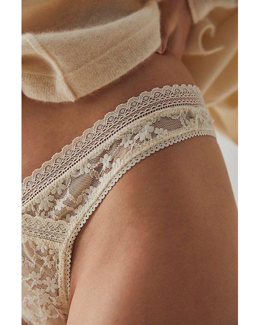 Free People Brown High Cut Daisy Lace Thong Undies