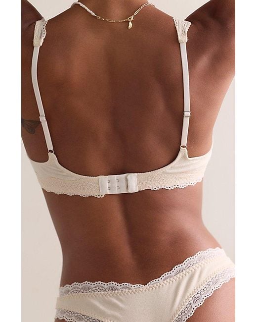 Intimately By Free People Brown Oh My Darling Cotton Balconette Underwire Bra By