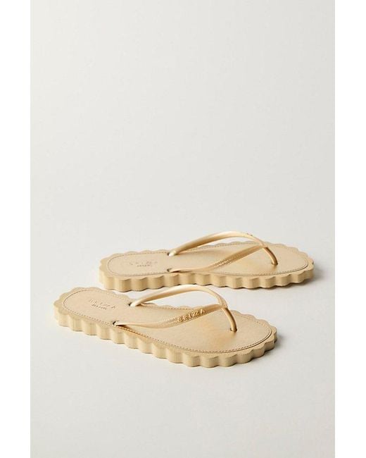 Brizza Arezzo Natural Cookie Cutter Scalloped Flip Flops By