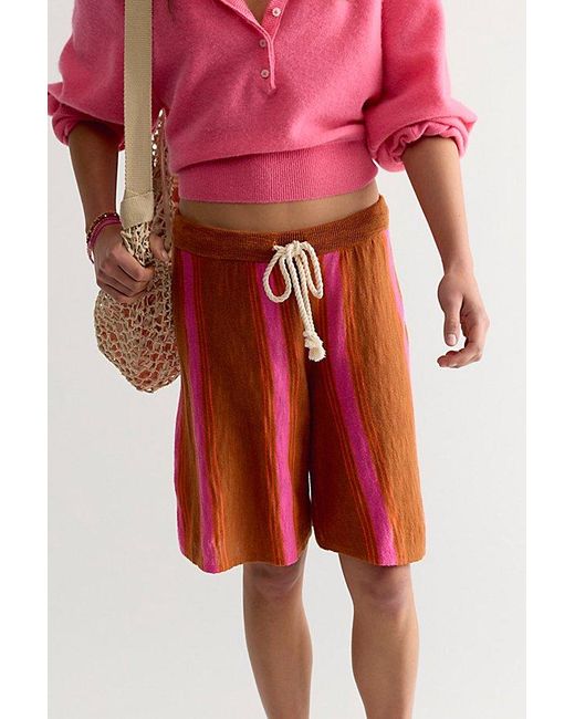 free-est Multicolor Surfs Up Sweater Shorts By
