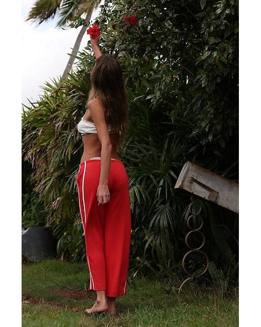 free-est Green Starlit Roads Pants By