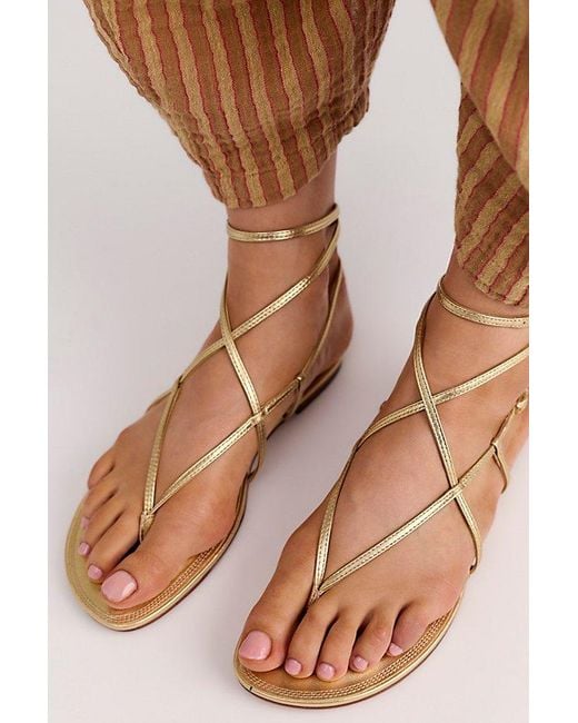 Sam Edelman Brown Clara Metallic Strappy Sandals By
