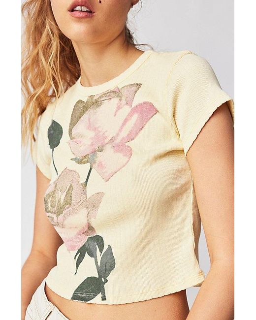 Daydreamer Brown Rose Pointelle Tee At Free People In Yellow Fizz, Size: Xs