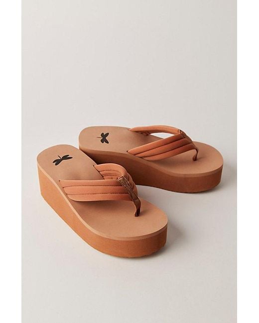 Free People Brown Poolside Wedge Thongs