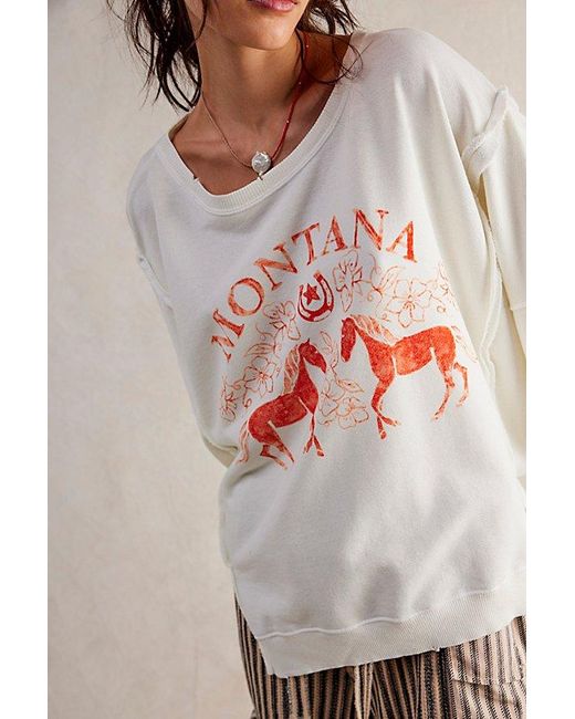 Free People Natural Graphic Camden Pullover At Free People In Coconut Combo Montana, Size: Xs