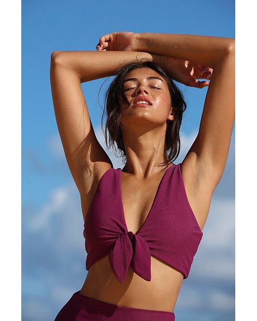 Beach Riot Multicolor Dallas Ribbed Bikini Top At Free People In Purple Plum, Size: Small