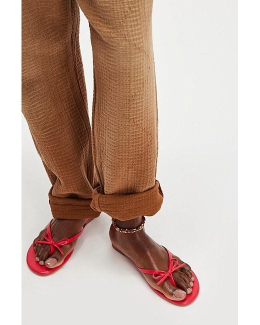 Seychelles Brown Miley Bow Sandals