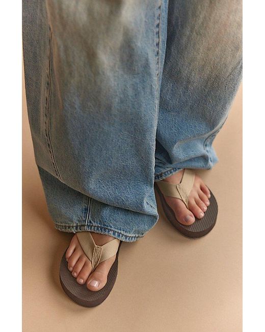 FP Vegan Collection Brown Interlude Thong Sandals By