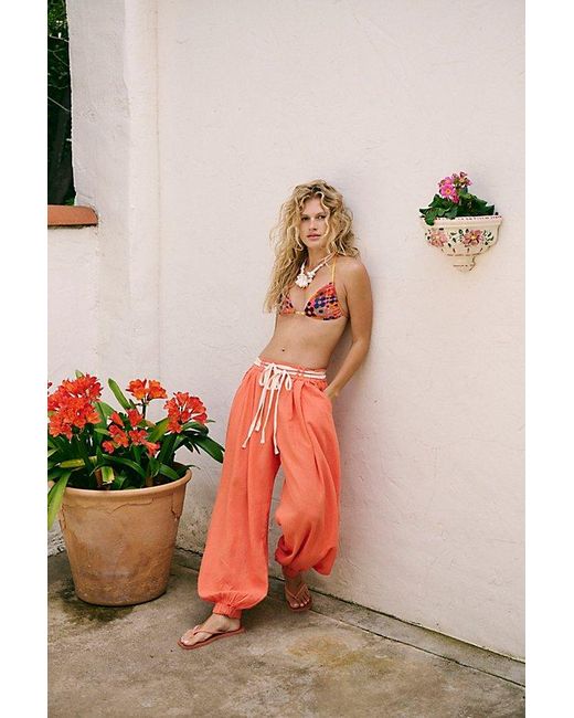 free-est Multicolor Volare Pants By