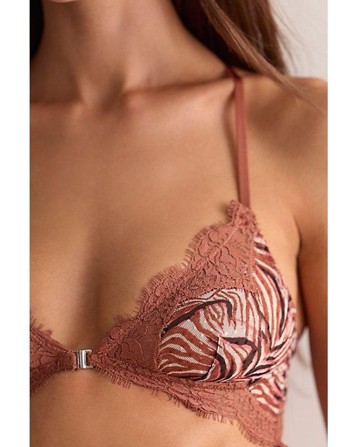 Intimately By Free People Brown Fiona Mesh Printed Front-Close Bralette By