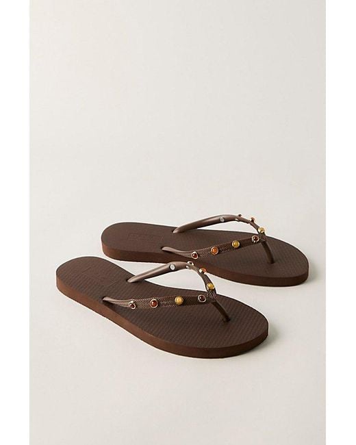 Brizza Arezzo Brown Englewood Embellished Flip Flops By