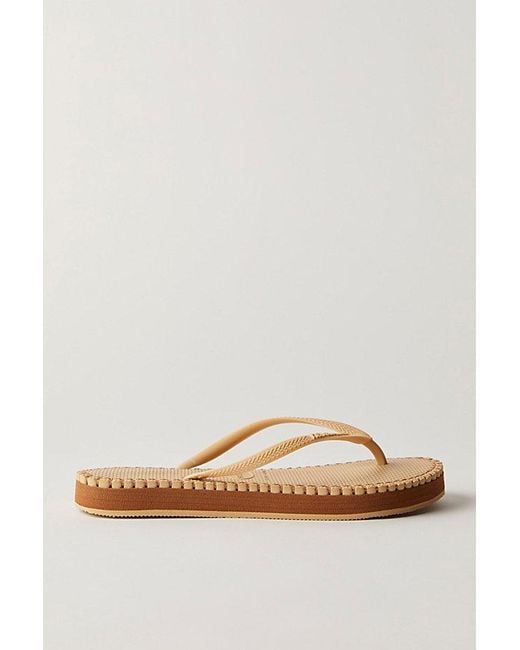 Havaianas Natural Slim Flatform Loop Flip Flops