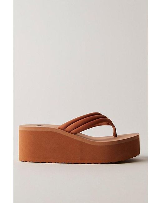 Free People Brown Poolside Wedge Thongs