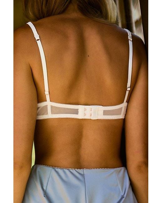Intimately By Free People Brown Lacebound Rocker Underwire Bra By